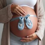 La Inseminación Artificial