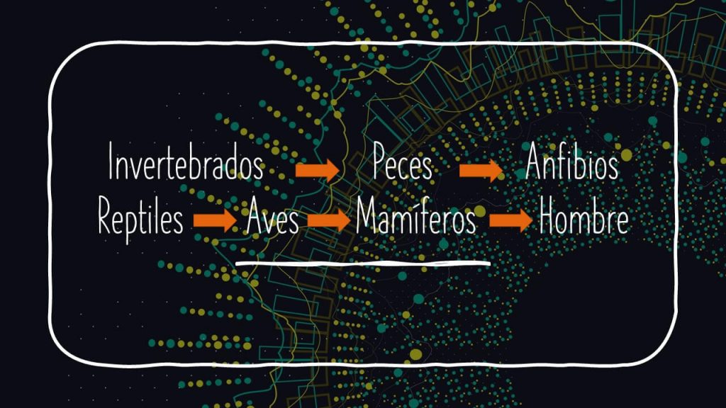 Macroevolución