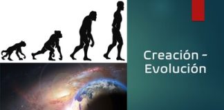 Significados de «evolución»