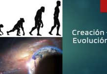 Terminología de la Evolución