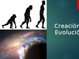 Terminología de la Evolución