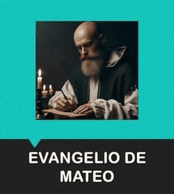 Evangelio de Mateo: Capítulo 24